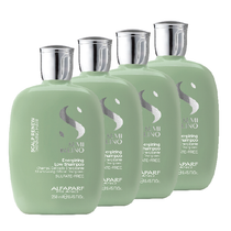 Alfaparf Scalp Renew Energizing Shampoo Restock Kit