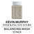 Kevin Murphy Balancing Wash Stocking Stuffer 12 pk