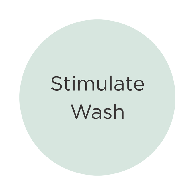 Kevin Murphy Stimulate Me Wash