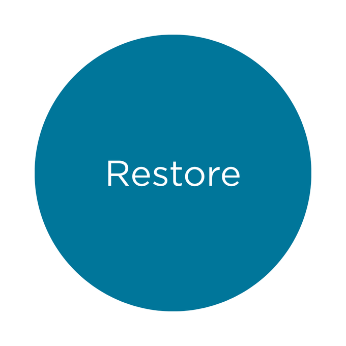 Kevin Murphy Restore