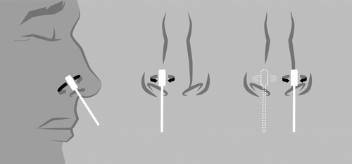 Test nasal antígenos autodiagnóstico sars-cov-2 flowflex