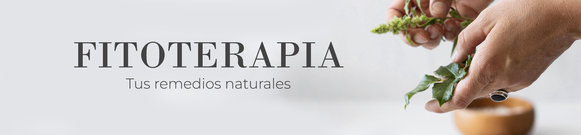 Fitoterapia en Farmacia San Romualdo 51, en Madrid