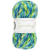 WYS Signature 4ply Yarn - 100g - Peacock (851)