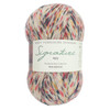 WYS Signature 4ply Yarn - 100g - Red Admiral  (1241)