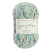 WYS Signature 4ply Yarn - 100g - Chalkhill Blue  (1242)