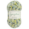 WYS Signature 4ply Yarn - 100g - Yellow Swallowtail  (1245)