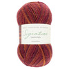 WYS Signature 4ply Yarn - 100g - Mulled Wine Sparkle (1295)
