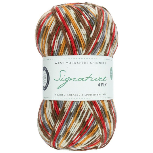 West Yorkshire Spinners Signature 4ply - Autumn Leaves (885)