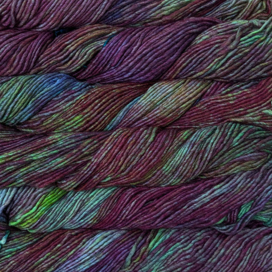 Malabrigo Worsted Merino Yarn 100g - Camaleon (684)