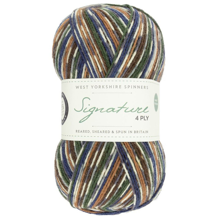 WYS Signature 4ply Yarn - 100g - Mallard (862)