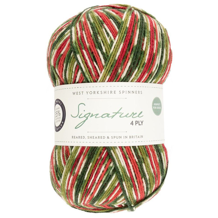 WYS Signature 4ply Yarn - 100g - Holly Berry (886)