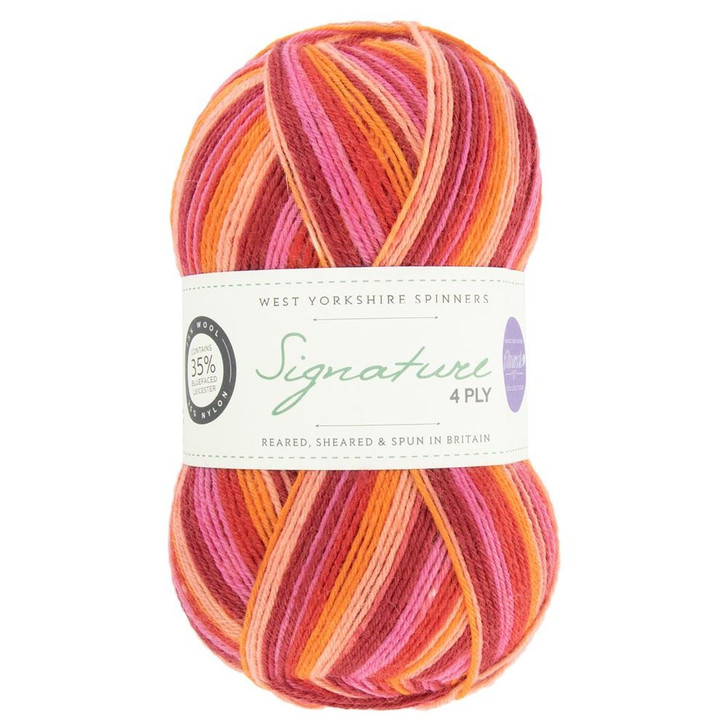 WYS Signature 4ply Yarn - 100g - Summer Sunset (881)