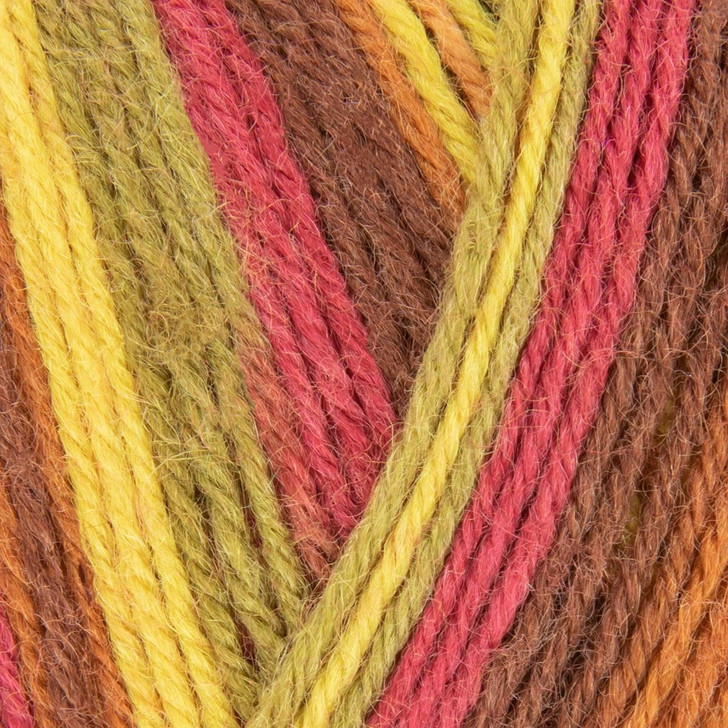 WYS Signature 4ply Yarn - 100g - Autumn Leaves (885) Alternate 1