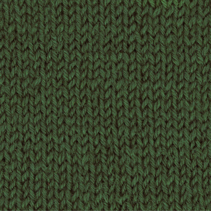 WYS Signature 4ply Yarn - 100g - Evergreen (1235) Alternate 1