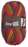 Austermann Step Sock Yarn with Aloe Vera & Jojoba Oil (219) ball