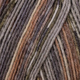 Austermann Step Sock Yarn with Aloe Vera & Jojoba Oil (86)