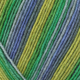 Schoeller & Stahl Fortissima Color (2429) Sock Yarn