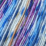 Schoeller & Stahl Fortissima Color (2481) Sock Yarn