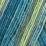 Schoeller & Stahl Fortissima Color (2488) Sock Yarn