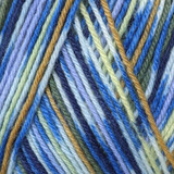 Schoeller & Stahl Fortissima Color (2491) Sock Yarn