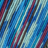 Schoeller & Stahl Fortissima Color (2492) Sock Yarn