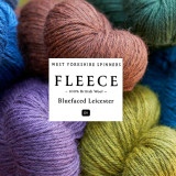 WYS Fleece Blue Faced Leicester DK Yarn - Various Colours