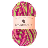 WYS ColourLab DK Yarn - 100g - Future Dreams (1197)