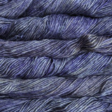 Malabrigo Silky Merino Yarn - Lluvias (881)