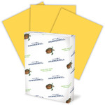 Hammermill Colors Print Paper, 20lb, 8.5 x 11, Goldenrod, 500 Sheets/Ream, 10 Reams/Carton View Product Image