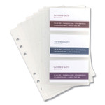 Samsill Refill Sheets for 4 1/4 x 7 1/4 Business Card Binders, 60 Card Capacity, 10/Pack View Product Image