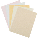 Pacon Array Card Stock, 65lb, 8.5 x 11, Assorted Parchment Colors, 100/Pack View Product Image