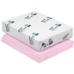 AbilityOne 7530011500334 SKILCRAFT Colored Copy Paper, 20lb, 8.5 x 11, Pink, 500 Sheets/Ream, 10 Reams/Carton View Product Image