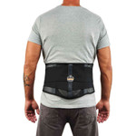 ProFlex 1051 Mesh Back Support w/Lumbar Pad View Product Image