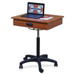 Hausmann Model 9210 Mobile Computer Station View Product Image