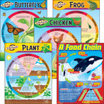 Trend Life Cycles Learning Charts Combo Pack View Product Image