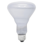 GE Lighting Reveal 65-watt R30 Floodlight View Product Image