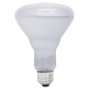 GE Incandescent Reveal BR30 Light Bulb, 65 W View Product Image