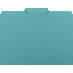 Smead Interior File Folders, 1/3-Cut Tabs, Letter Size, Aqua, 100/Box SMD10235 View Product Image