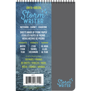 Roaring Spring Storm Writer 4"x6" Notebook View Product Image