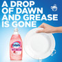 Dawn Gentle Clean Dish Liquid View Product Image