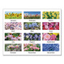 AT-A-GLANCE Floral Panoramic Desk Pad, 22 x 17, Floral, 2021 View Product Image