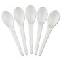 Eco-Products Plantware Compostable Cutlery, Spoon, 6", Pearl White, 50/Pack, 20 Pack/Carton View Product Image