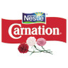 Carnation View Product Image