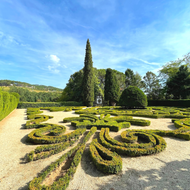 How to Grow a Topiary