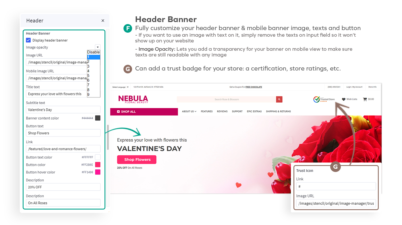 Nebula Header Features