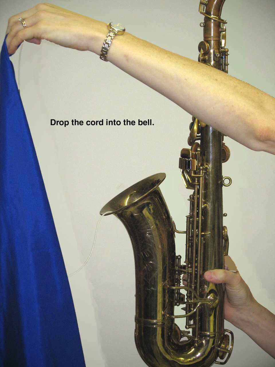 Silk Alto Saxophone Swab Hodge