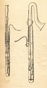 A Brief History Of The Bassoon: Introduction