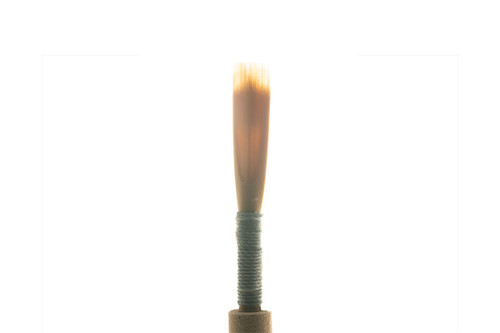 Manhattan Reeds - B Line Oboe Reed - Backlit Manhattan Reeds - B Line Oboe Reed - Backlit