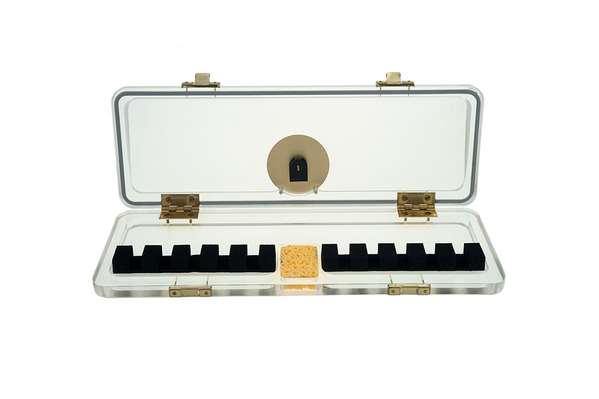10-Reed Reeds 'n Stuff Bassoon Reed Hygrocase