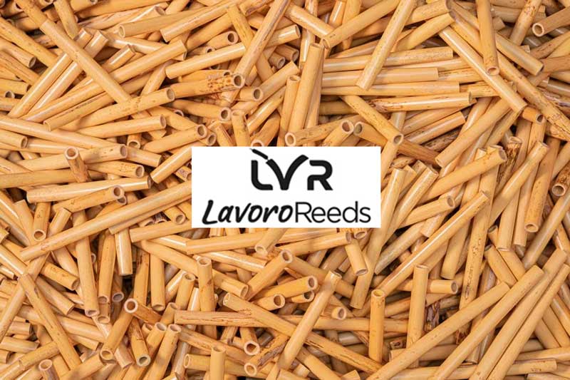 Lavoro Oboe Tube Cane